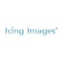 Icing Images discount code