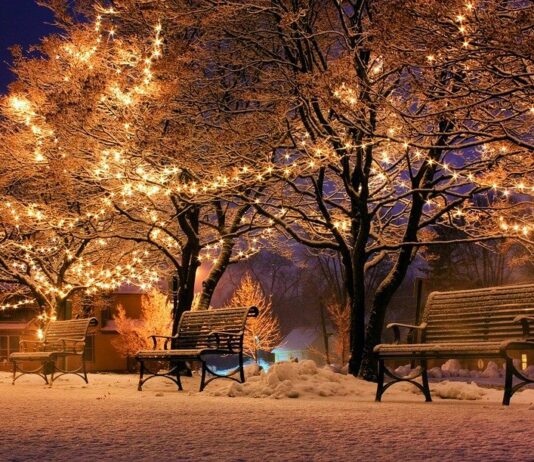 Christmas Tree Black Friday Deals For You black friday 2020